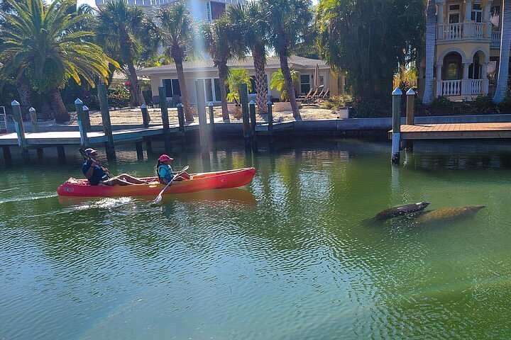 Are There Guided Tours In Siesta Key?