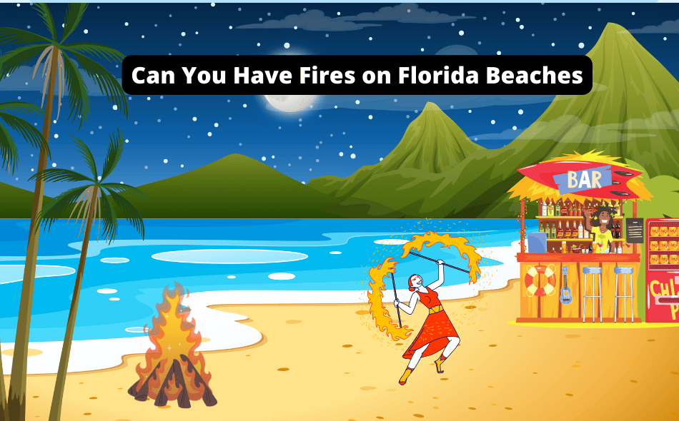 Can I Have A Beach Bonfire In Siesta Key?