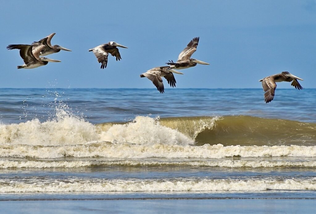 What Are The Rules For Drinking On The Beach In Siesta Key?