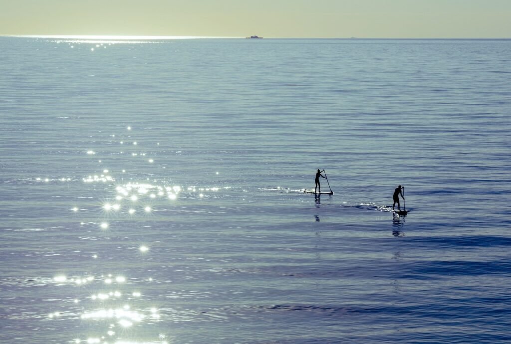 Where Can I Go Paddleboarding In Siesta Key?